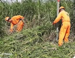 Jardinería y chapeo de áreas verdes